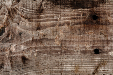 Wood texture macro photography