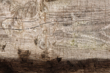 Wood texture macro photography