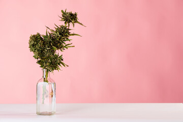 a bouquet of marijuana in a vase on a pink background