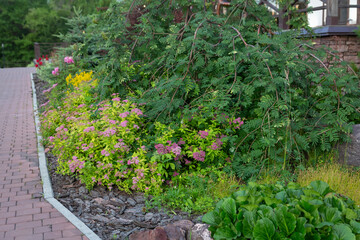 Alley in the park, flower beds with perennial plants, bushes and trees. Landscaping.