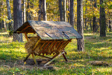 Autumn forest thicket panorama with vintage animal feeding hay rack in Mazowiecki Landscape Park in...