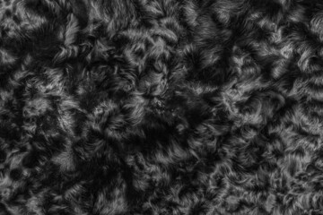 Black wool texture fur background dark soft material abstract surface pattern natural