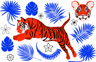 Hand drawn illustration with orange jumping tiger, tiger head and blue exotic leaves. Illustrations set for poster design, cards, prints, stickers.