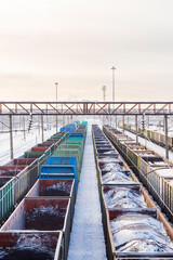 Fototapeta premium Rail cargo yard