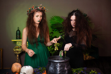 Two witches with disheveled hair brew a magic potion in a black cauldron, standing in a dark room. The concept of witchcraft on the eve of Saints' Day.