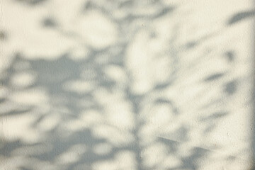 The shadow of the sun shining through the wood