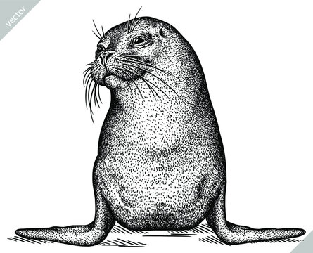 recommend clip art: black and white engrave isolated seal vector illustration