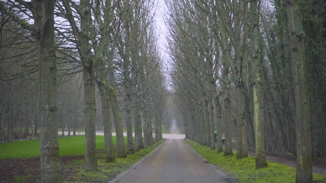 chemin de terre parc