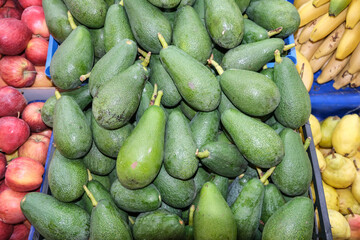 Organic green Avocado Fruit in the market. Green Avacado fruits are spread out in the store for sale. Avacado background. 