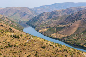 Naklejka premium Foz Coa. Douro