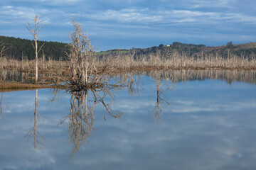 Oyambre natural park, Cantabria, Spain