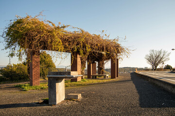 熊本の光の森近くの公園 バスケットコート