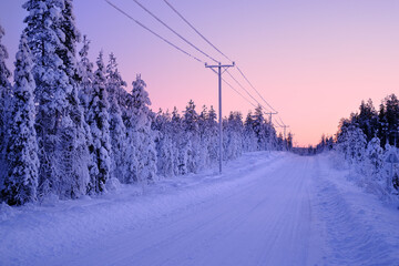 beautiful winter landscape, polar night, snowfall in forest, fluffy white snowflakes fall on...