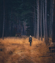 A woman is walking into a dark forest