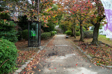 大阪城周辺の散歩