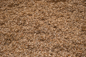 Wooden chips background. Natural material for design. 