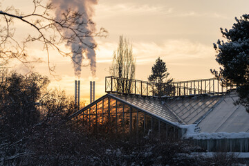 Greenhouse in winter botanical garden against smoking chimneys of boiler plant and sunset sky....