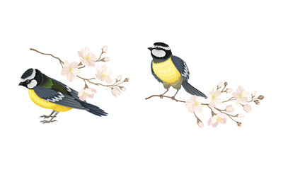 Obraz premium Titmouse with blooming tree branch set cartoon vector illustration