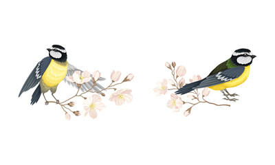 Small tit bird sitting on blooming tree branch set cartoon vector illustration