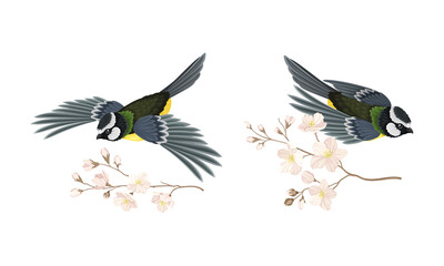 Naklejka premium Titmouse bird and blooming twig of sakura tree set cartoon vector illustration
