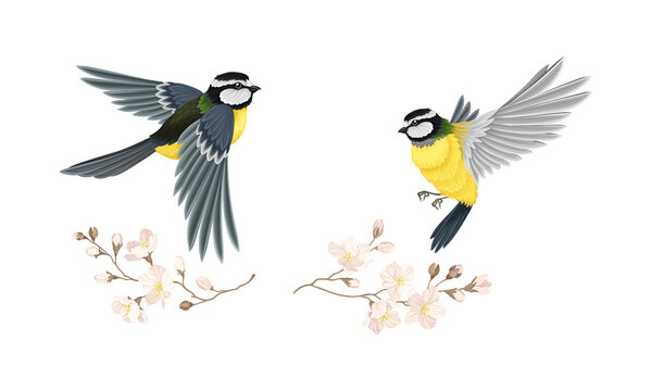 Tit bird flying towards blooming twig of sakura tree set cartoon vector illustration