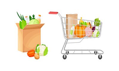 Healthy grocery products in cardboard box and shopping cart set. Organic food vector illustration