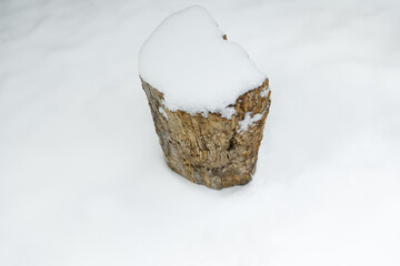 Tree stump in the snow in a snowdrift - obrazy, fototapety, plakaty