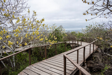 landscape with views of the islands of the Galapagos archipelago 