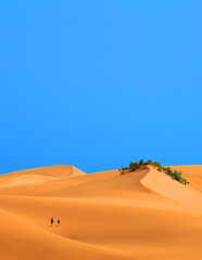 Fototapeta na wymiar Dunes landscape, Maspalomas, Gran Canaria, Canary Islands, Spain.