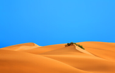 Fototapeta na wymiar Dunes landscape, Maspalomas, Gran Canaria, Canary Islands, Spain.