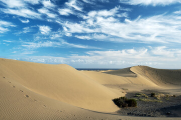 Fototapeta na wymiar Dunes in Maspalomas, Gran Canaria at afternoon