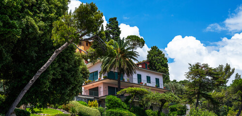 Fototapeta na wymiar Morning view of Liguria coastline of mediterranean sea. Luxury villa in stunning botanical garden with mediterranean plants. Italy, Europe. Cloudy blue sky sunny day idyllic scenery.