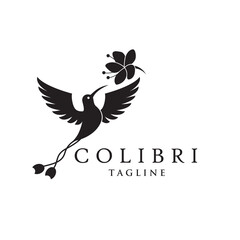 Naklejka premium icon of flying colibri and flower isolated on white background