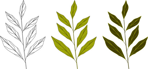 Naklejka na ściany i meble Vector botanical illustrations. A set of green branches. Design elements with floral herbs.