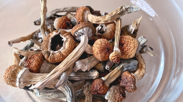 Dried Psychedelic mushrooms in glass bowl. Psilocybin mushrooms