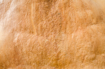 Carbonate mineral travertine texture. Сreative abstract design background photo