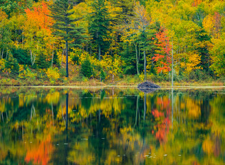 beautiful autumn reflections on Beaver Dam Pond in Acadia National Park, Maine, USA

