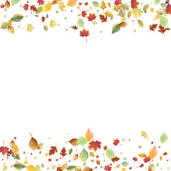 Leaves Falling Autumn Foliage Chaotic Leaf Flying