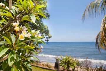 Foto auf Leinwand Plumeria tree and palm leaf on the background of the sea. The flowers of the plumeria tree close-up. White frangipani flowers. Sacred flower. © Tatiana Nurieva