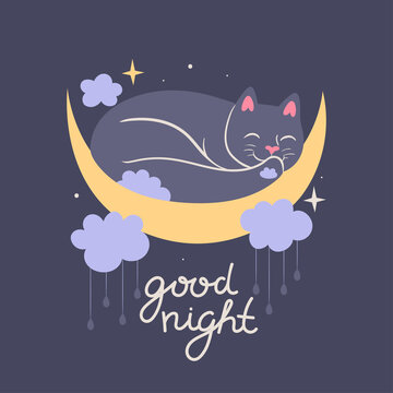 Illustration of a cute cat sleeping on the moon. Vector graphics.