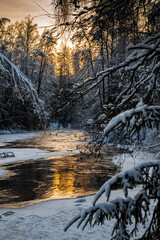 Fototapeta na wymiar The wild frozen small river in the winter wood, the wild nature at sunset, the river of red color, ice, snow-covered trees