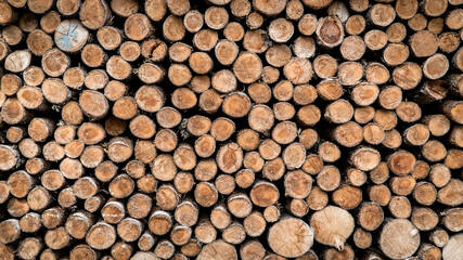 Cut wood logs stored in a storage yard in circular pattern. This woodpile are chopped and saved to burn in a stove during winter.