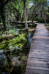 Wooden bridge path through a jungle, Krka national park, Croatia