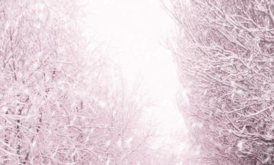Winter landscape with snow. Background with blizzard.