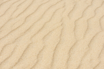 Fototapeta na wymiar Desert sand dunes texture. Waves on the yellow sands of the desert. Close-up of a sandy beach.