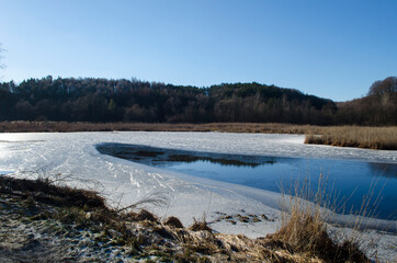 Winter lake with ice and frost in the reeds.