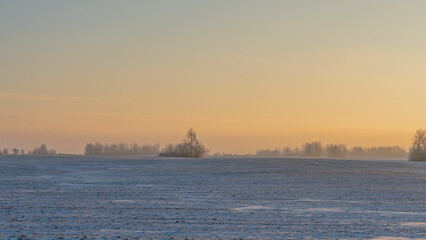 Obraz premium Winter landscape in snow nature with sun, field and trees. Magical winter sunset in a snow field.