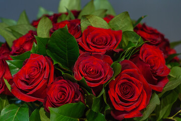 Obraz premium fresh roses in the vase