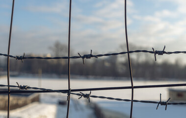 barbed wire lines on metal fence