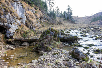 autumn morning, walking along the bed of a mountain river that has become shallow by the beginning...